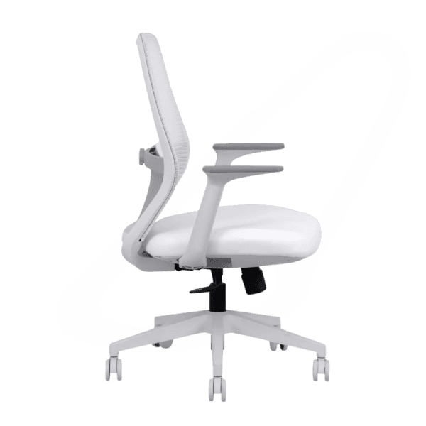 Orca  Mid Back Ergonomic Office Chair