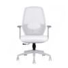 Orca  Mid Back Ergonomic Office Chair
