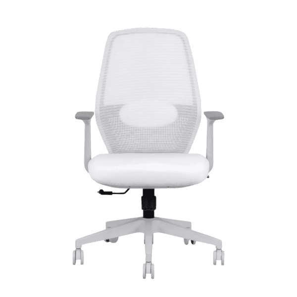 Orca  Mid Back Ergonomic Office Chair