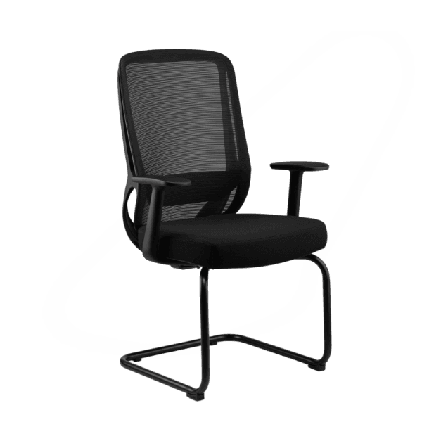 Onyx Low Back Ergonomic Office Chair