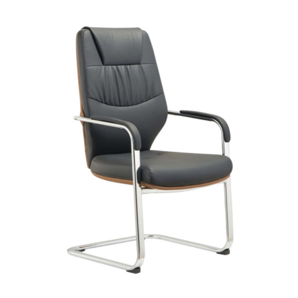 Kyro leather chair