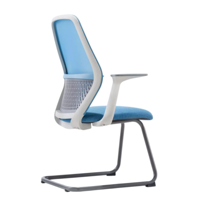 Orca  Low Back  Ergonomic  Chair