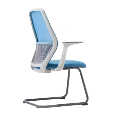 Orca  Low Back  Ergonomic  Chair