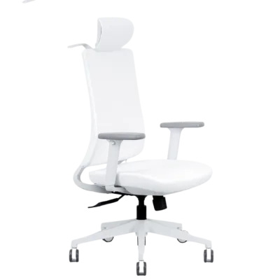 Atlas High Back Ergonomic Office Chair | Bosq