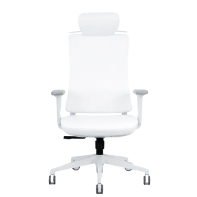 Atlas High Back Ergonomic Office Chair | Bosq