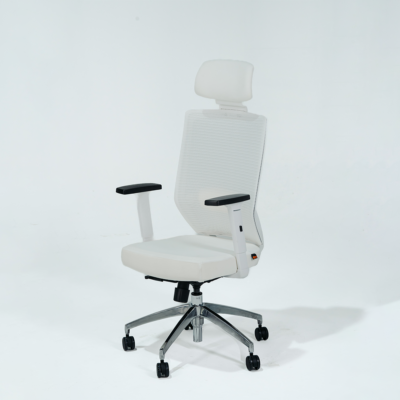 Evolt High Back Ergonomic Office Chair – Bosq