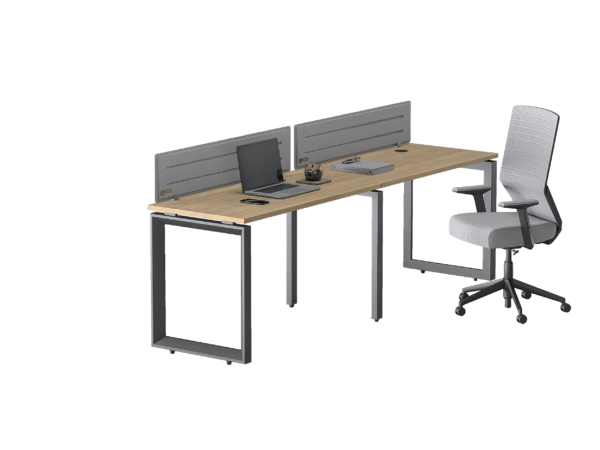 Zenx Series 2×120 – Linear Workstation