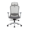 Penta Ergonomic Office Chair – Premium Comfort & Modern Design